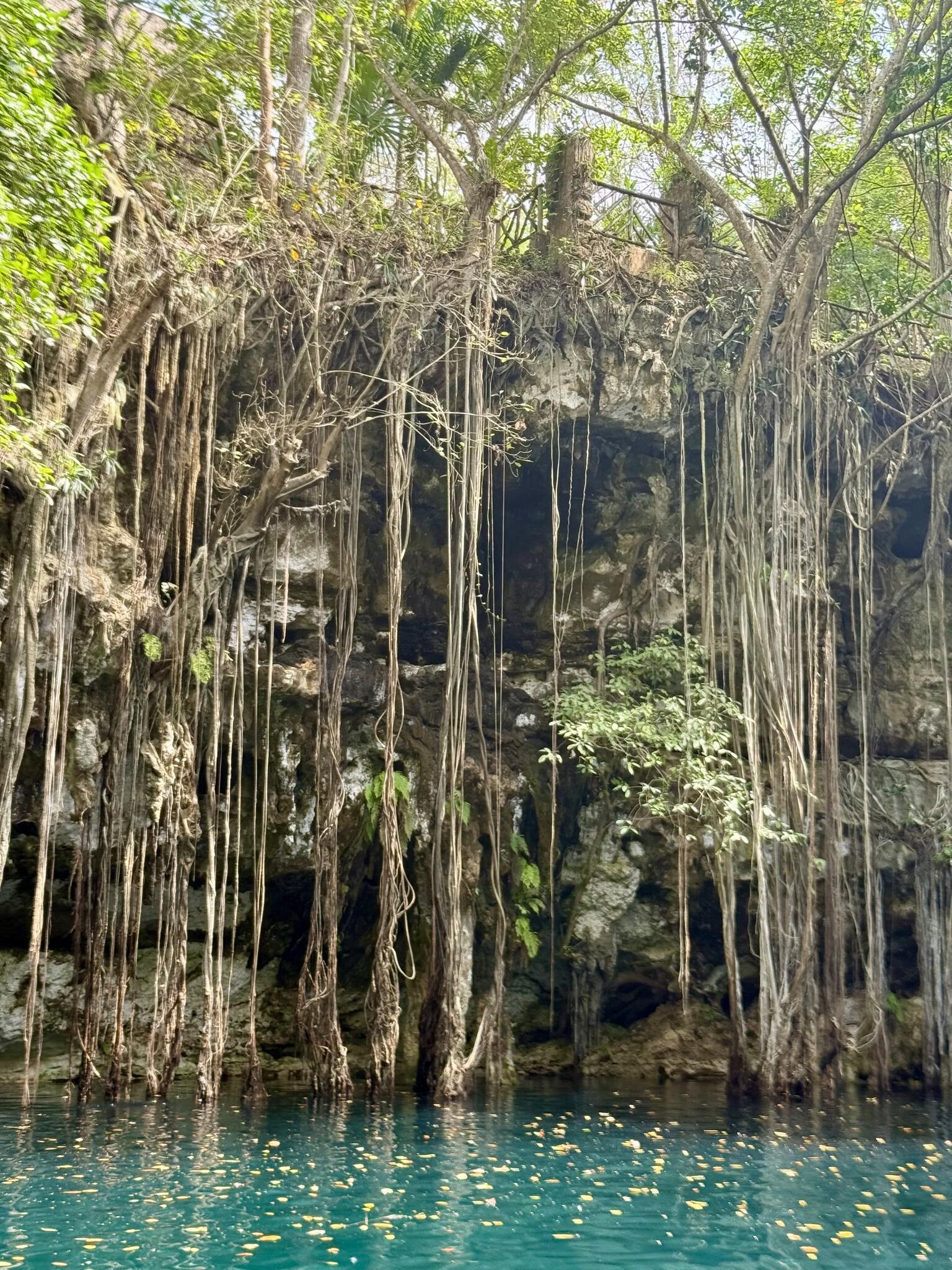 Cenote Yokdzonot